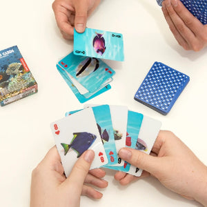 3-D Fish Playing Cards