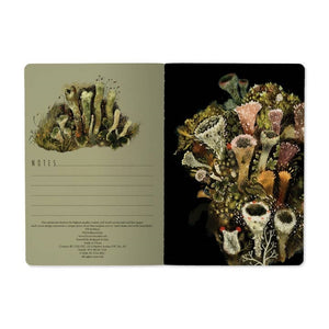 Forest Floor Small Lined Notebook