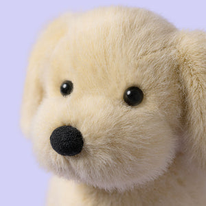 Close-up of the head of a Jellycat golden coloured puppy with a black nose and eyes on a purple background. 