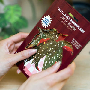 Dapple & Dot Wooden Pop Out Card | Spotted Begonia