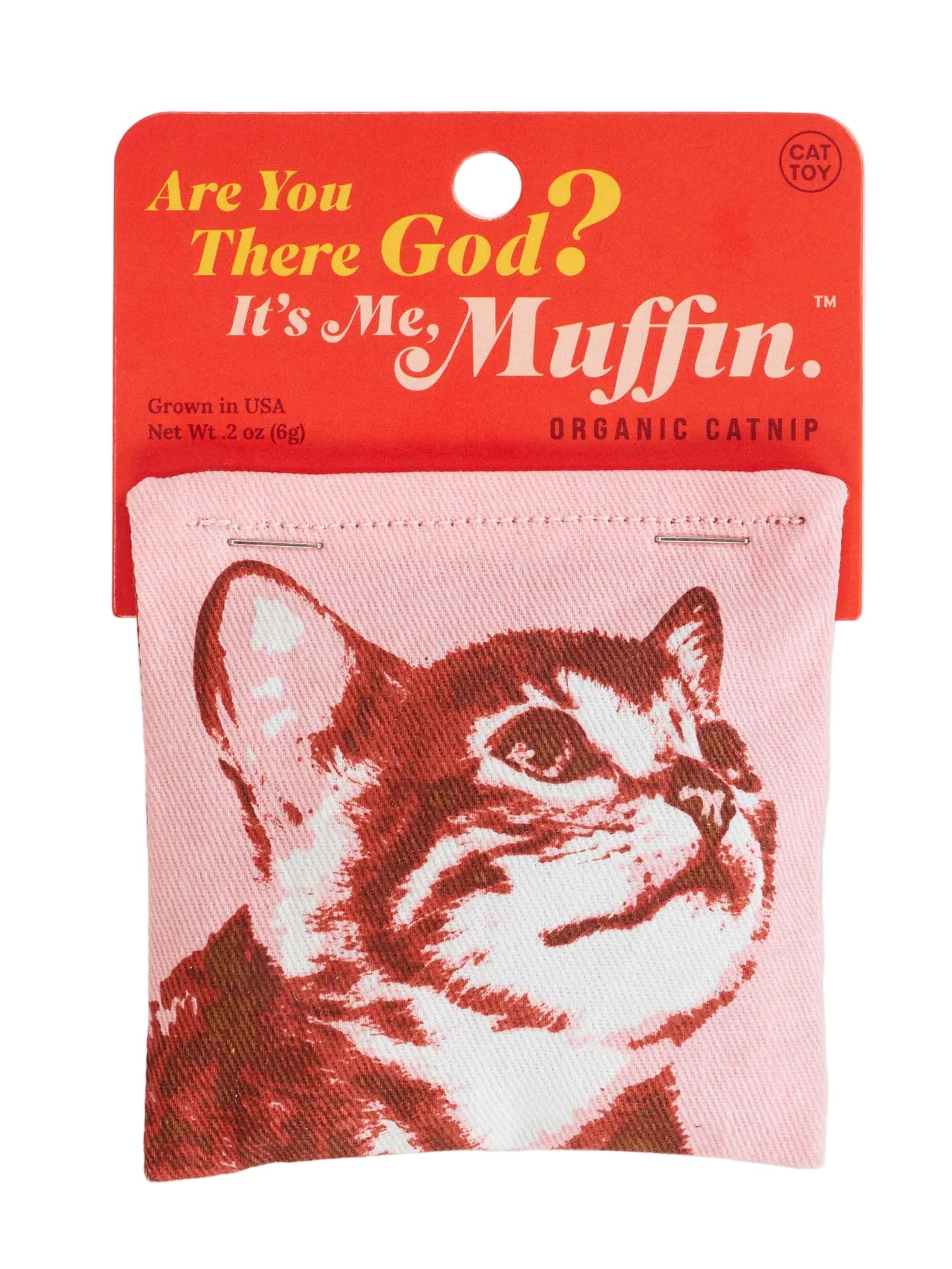 Blue Q Catnip Toy | Are You There God?