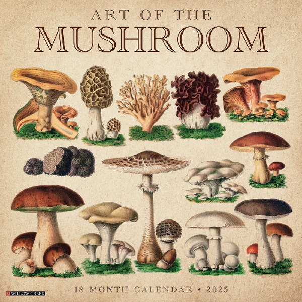 2025 Wall Calendar | The Art Of The Mushroom