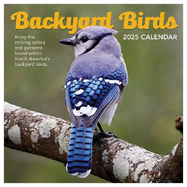 2025 Wall Calendar | Backyard Birds