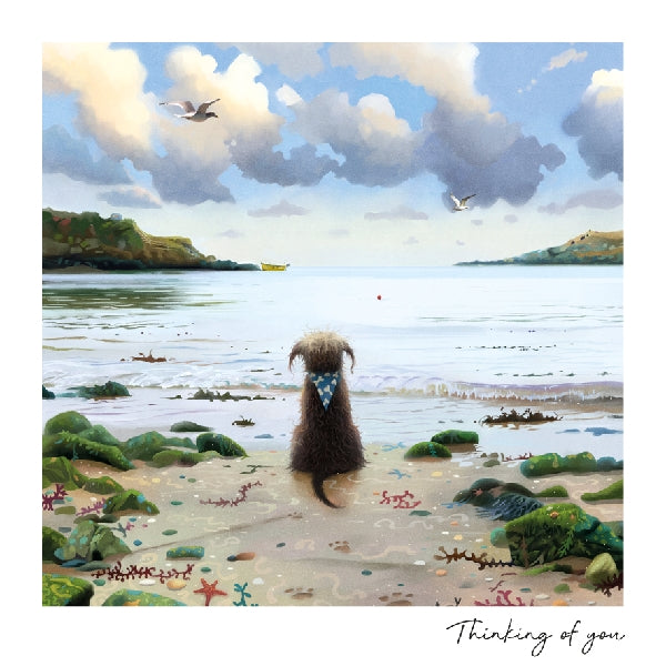 Beach Dog Thinking Of You Card