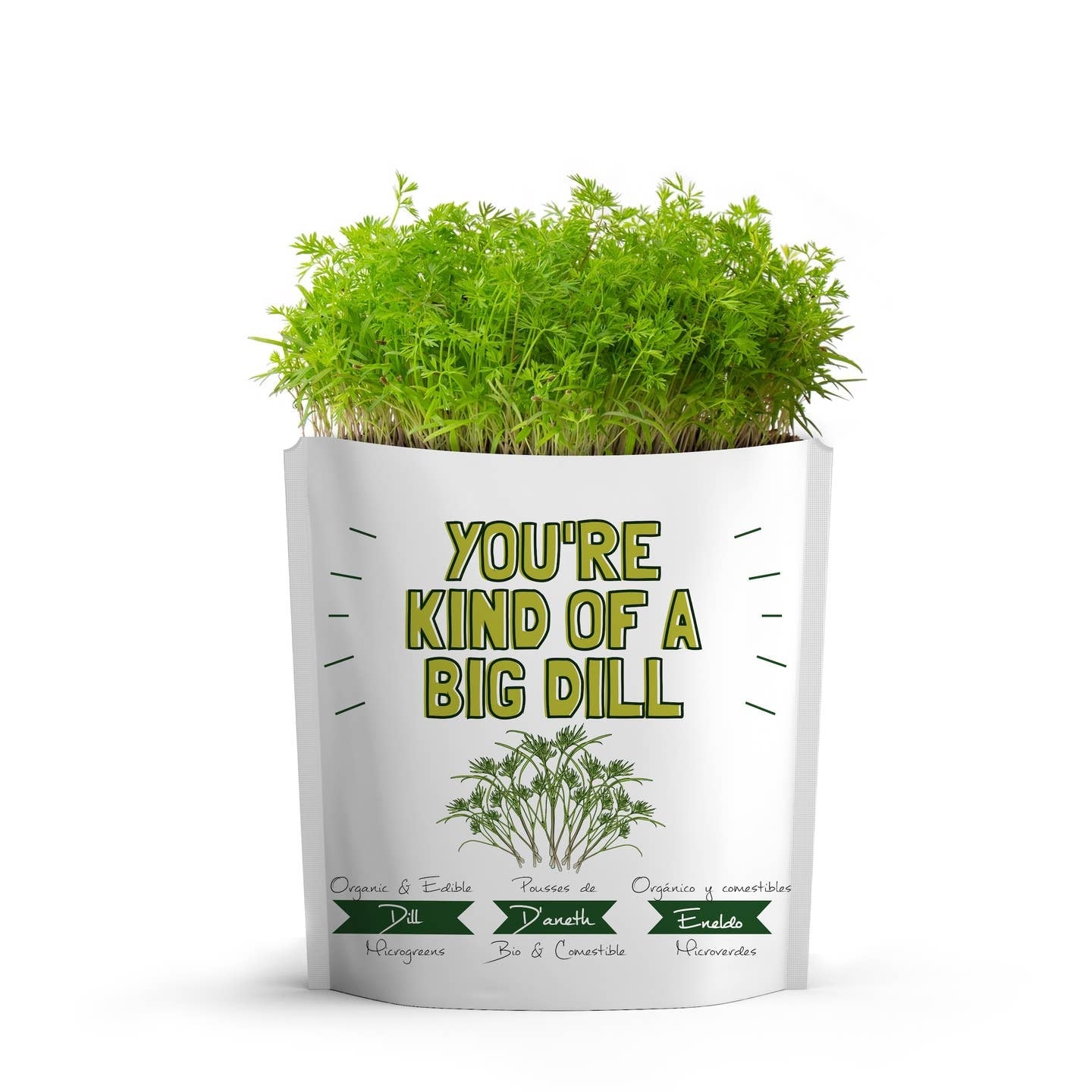 Giftagreen Big Dill Friendship Grow Card