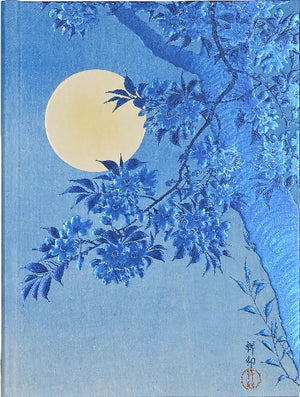 Blue decorative book cover with a stylized moon and tree branch on a blue background