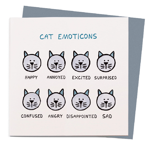 Cat Emoticons Blank Humor Card