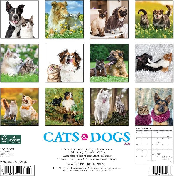 2024 Wall Calendar | Cats & Dogs