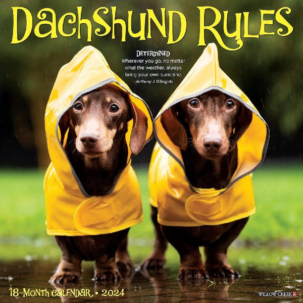 2024 Wall Calendar | Dachshund Rules