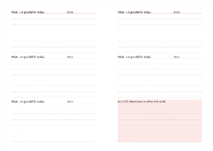 Pauper Guided Journal | Daily Dose Of Gratitude