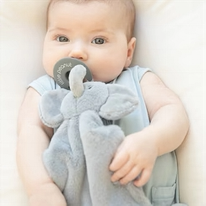 Bella Pacifier Set | Carbon Elephant Bubbi Buddy