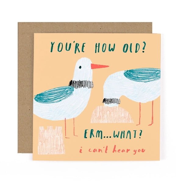 Seagulls Birthday Card