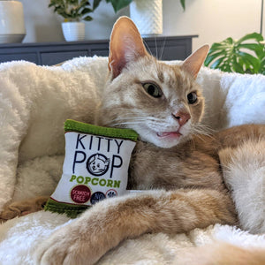 Kitty Pop Catnip Toy