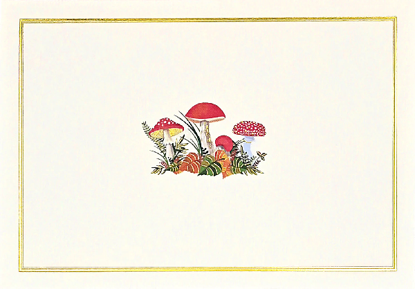 Mushrooms Blank Notecards