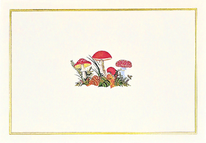Mushrooms Blank Notecards