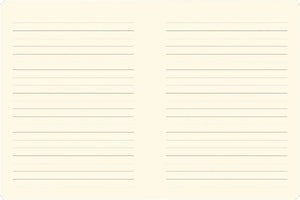 Blank sheets of music lined paper with horizontal lines