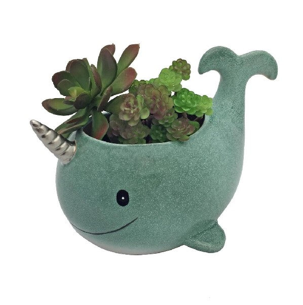 Narwhal Planter