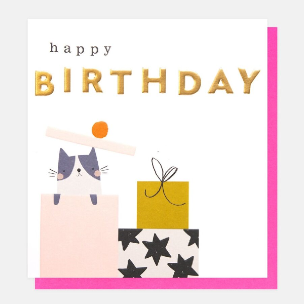Peek-A-Boo Cat Birthday Card