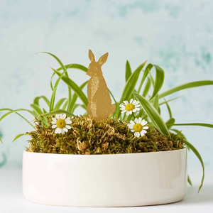Rabbit Houseplant Decoration