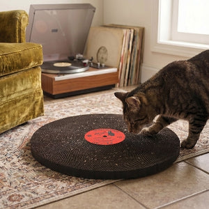 Record Scratcher Cat Scratch Toy