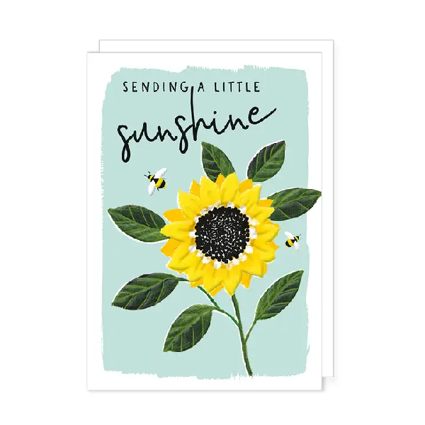 Sending A Little Sunshine Friendship Card