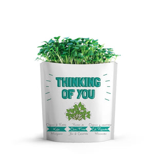 Giftagreen Thinking Of You Grow Card
