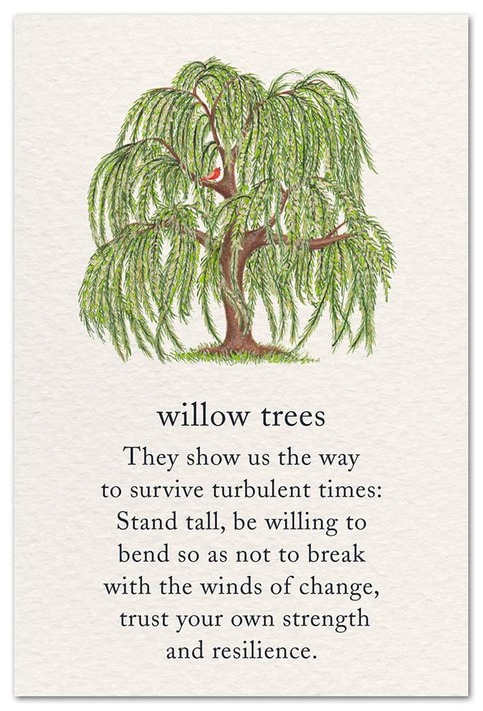 Willow Trees Sympathy Card