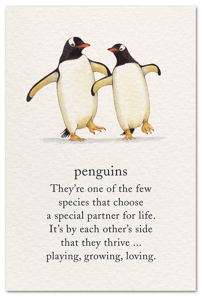Penguins Anniversary Card