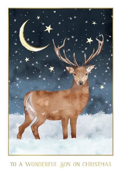 Son Christmas Card