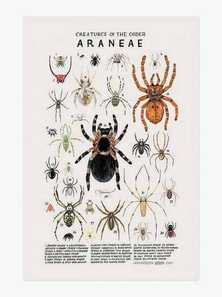 Creatures of the Order Araneae