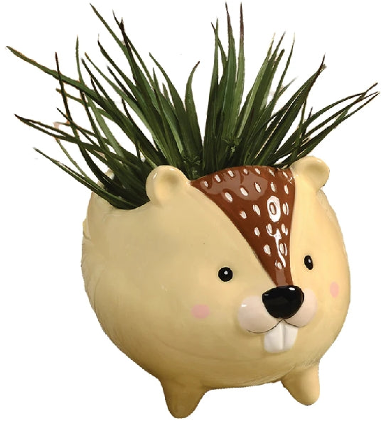 Beaver Planter
