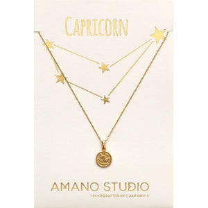 Amano Studio Zodiac Necklace | Capricorn