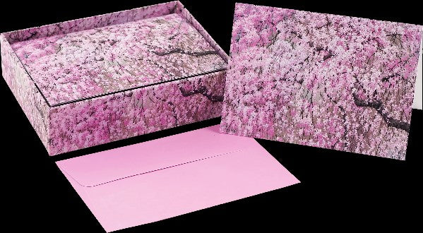 Cherry Blossoms Thank You Notecards