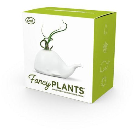 Fred & Friends Air Plant Holder | Whale