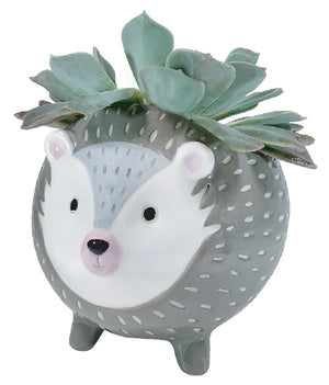 Hedgehog Planter
