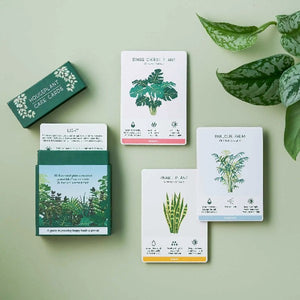 Houseplant Care Deck