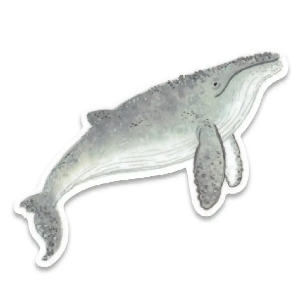 Cactus Club Sticker | Humpback Whale