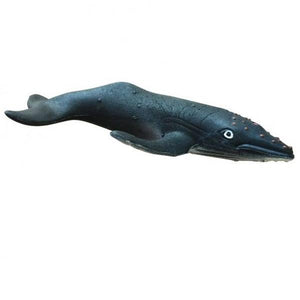 Copernicus Humpback Whale | The Gifted Type