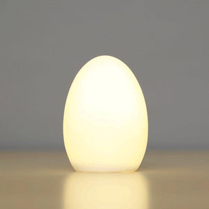 Egg LED Light