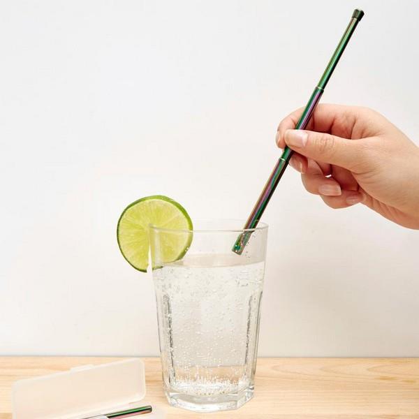 Travel Straw Set - Irridescent