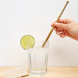 Travel Straw Set - Copper