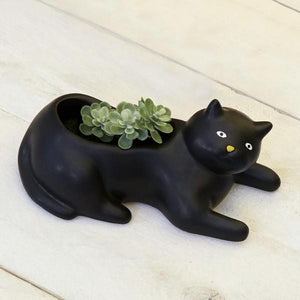 Cosmo the Cat Planter