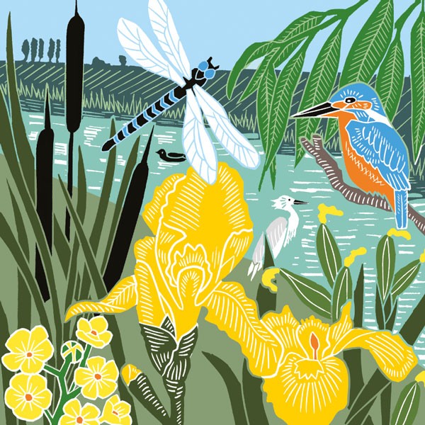 Dragonfly and Bird Blank Art Card