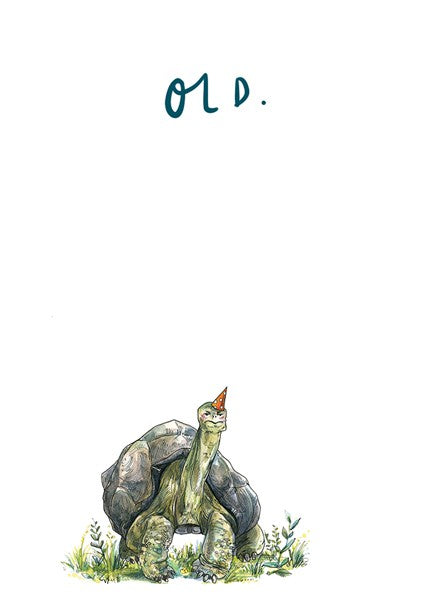 Old Tortoise Birthday Card