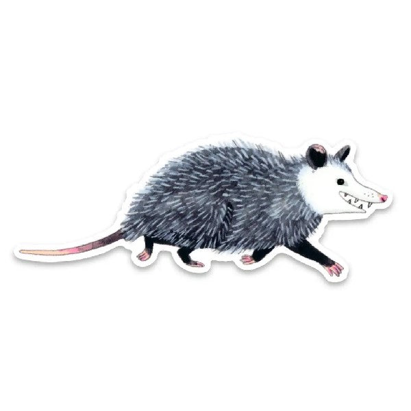 Cactus Club Sticker | Opossum