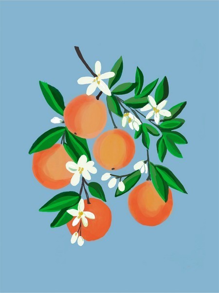 Pink Picasso Paint By Number Kit | Orange You Glad