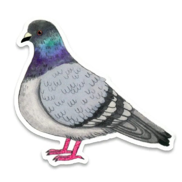 Cactus Club Sticker | Pigeon