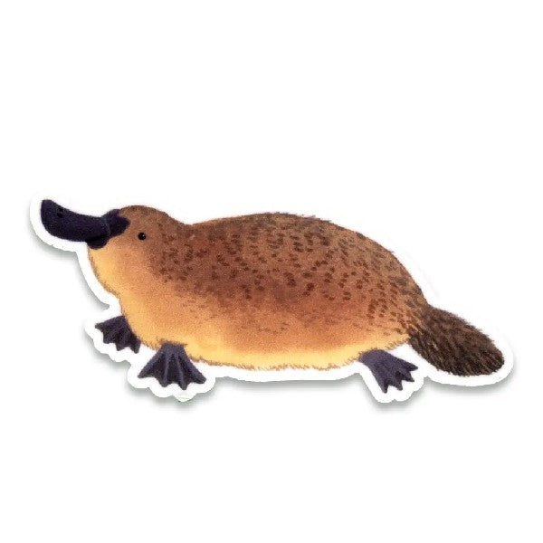 Cactus Club Sticker | Platypus