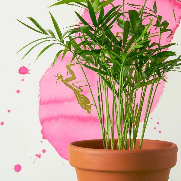 Mantis Houseplant Decoration