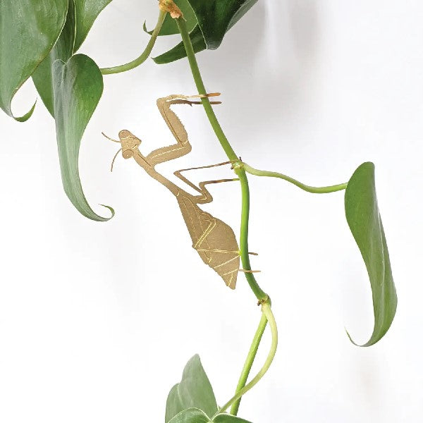 Mantis Houseplant Decoration